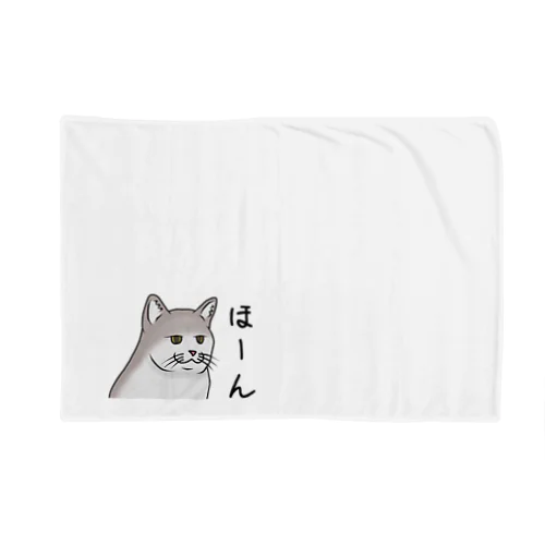 トモキャット「ほーん」 Blanket