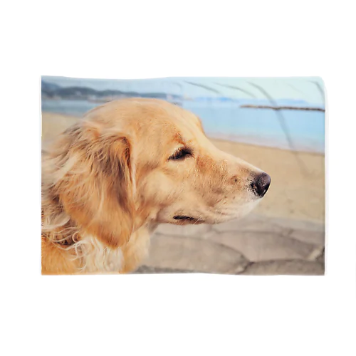 ゴールデンレトリバーグッズ Blanket