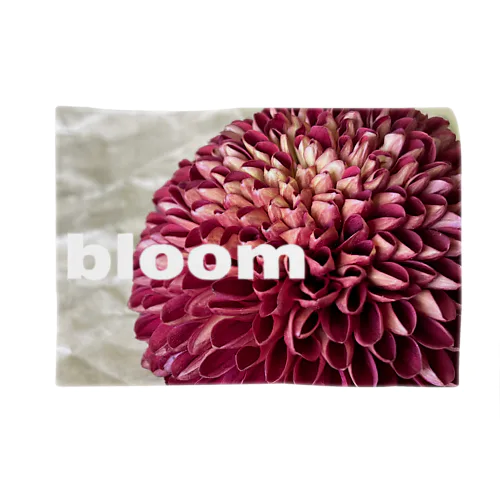 ピンポンマム　bloomロゴ Blanket