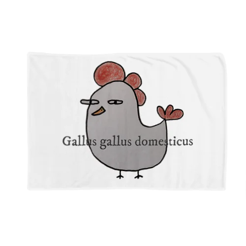 『Gallus gallus domesticus』＝ニワトリ ブランケット