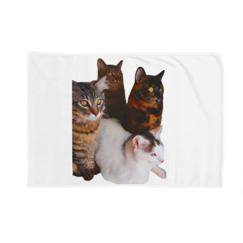 4匹のねこ Blanket