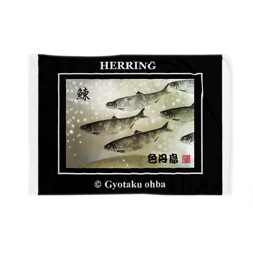 ニシン！（鰊；HERRING）色丹島。あらゆる生命たちへ感謝を捧げます。 ブランケット