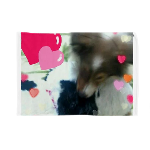 Kantarou the Sheltie ブランケット