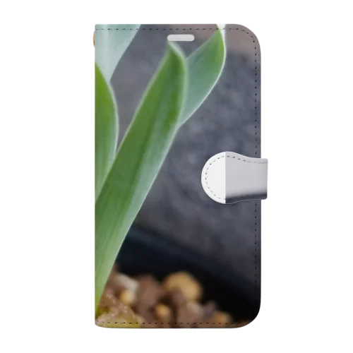 Albuca concordiana アルブカ コンコルディアナ 手帳型スマホケース