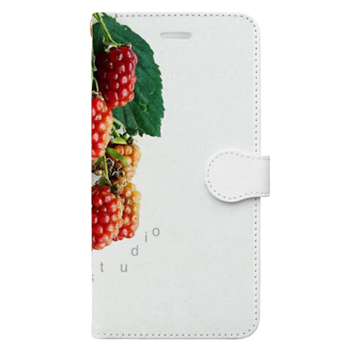 Blackberry  Book-Style Smartphone Case