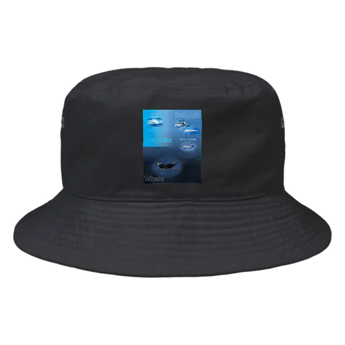 イルカとクジラの違い Bucket Hat