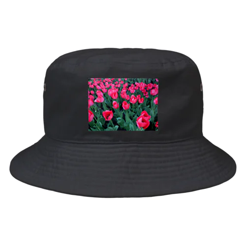 ウクライナのチューリップ Bucket Hat