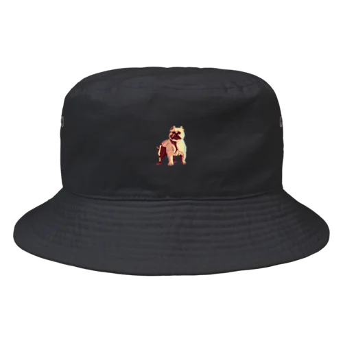 アメリカンブリー Bucket Hat