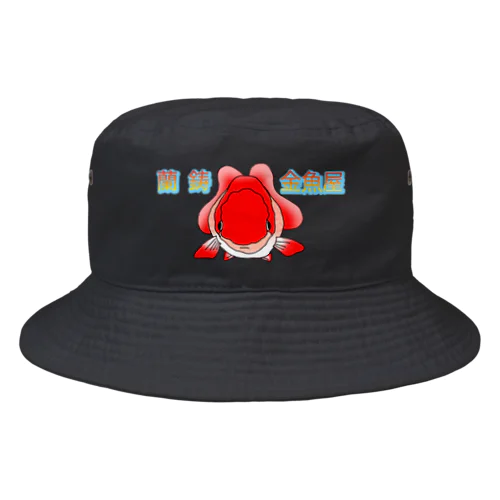 らんちゅう　正面 Bucket Hat