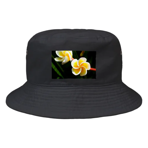 Flower of the Heart　プルメリア Bucket Hat