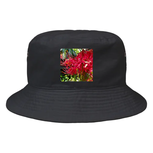 赤いひがんばな Bucket Hat