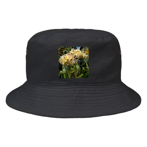 白いひがん花 Bucket Hat