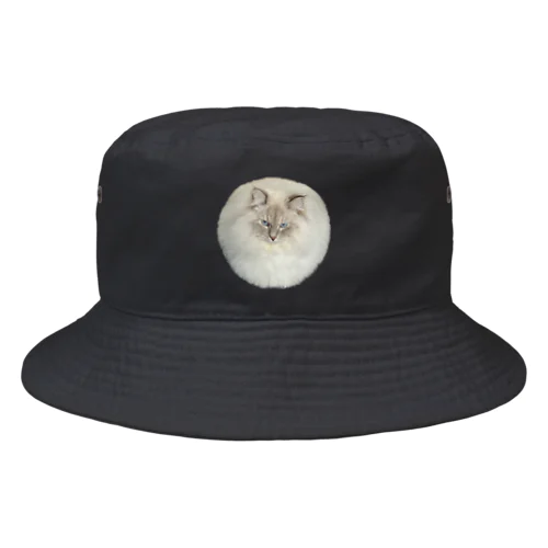 まんまる猫いれぶん Bucket Hat