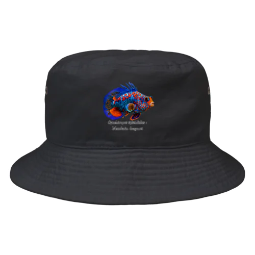 ニシキテグリ（マンダリンフィッシュ）魚バージョン Bucket Hat