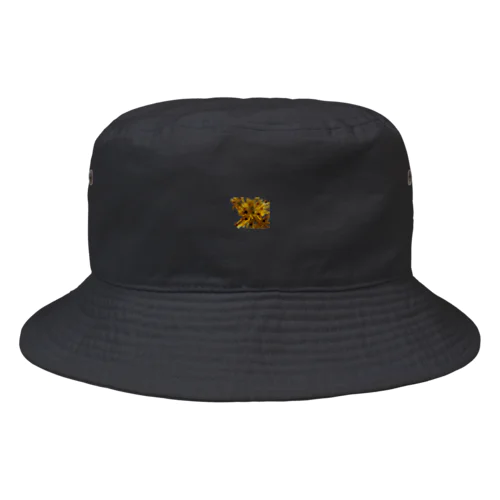 Ignition Bucket Hat