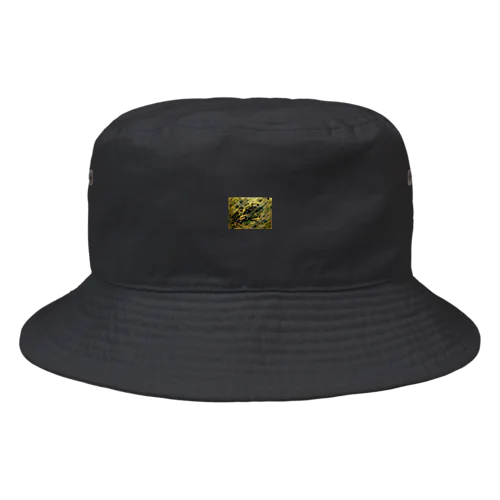 Dragon gaze Bucket Hat