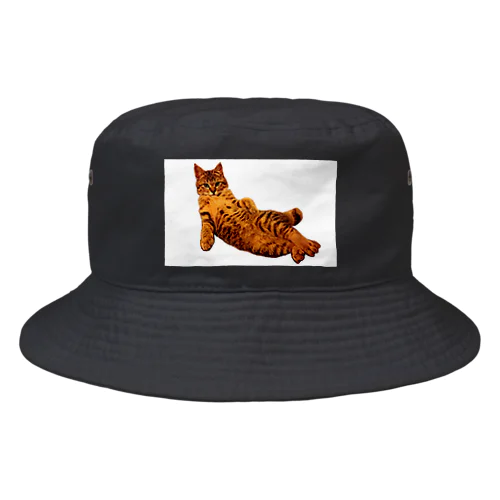 Elegant Cat ③ Bucket Hat