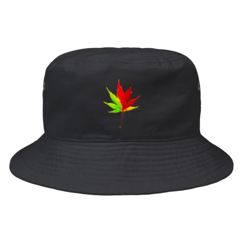 紅葉経過中 Bucket Hat