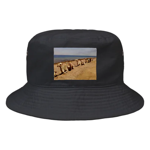 Camel Arrangements Bucket Hat