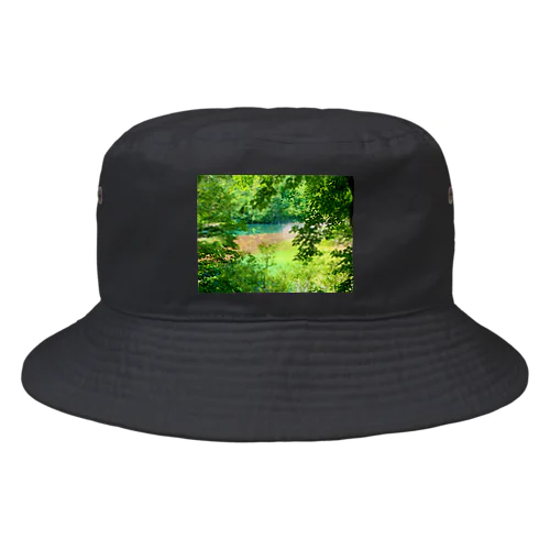 Midoro Swamp Bucket Hat