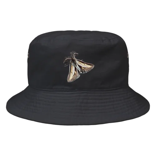 フチグロトゲエダシャク Bucket Hat