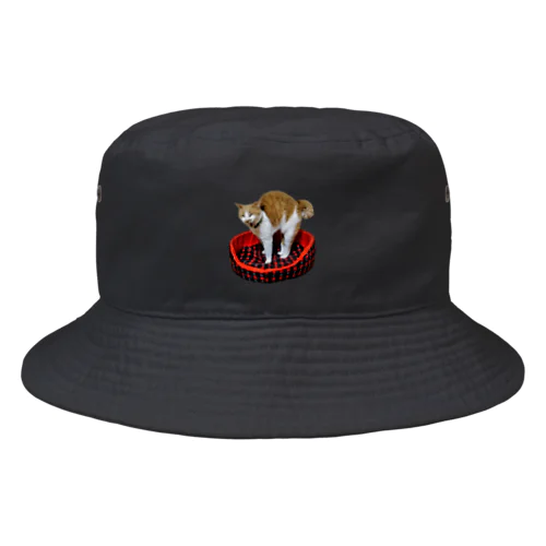 来ましたウザいやつ4 Bucket Hat