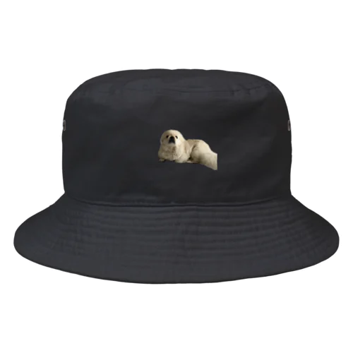 おめめくりくり Bucket Hat