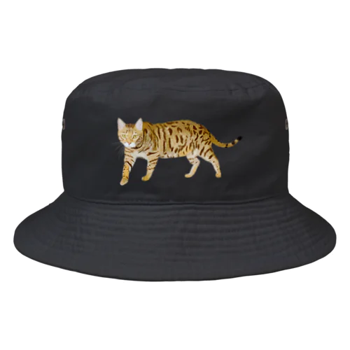 虎 猫 トイガー 大 Bucket Hat