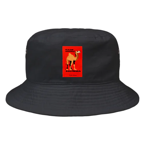 チェコ　プラハ動物園　ラクダ Bucket Hat
