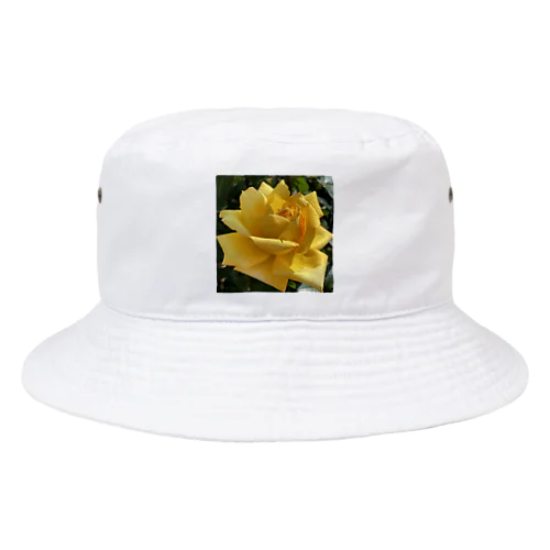 黄色い薔薇 Bucket Hat