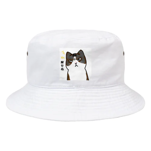 解せぬ猫 Bucket Hat