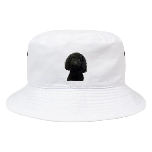 黒いトイプードル Bucket Hat