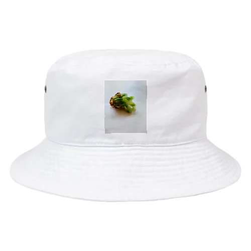 サバイバー多肉 Bucket Hat