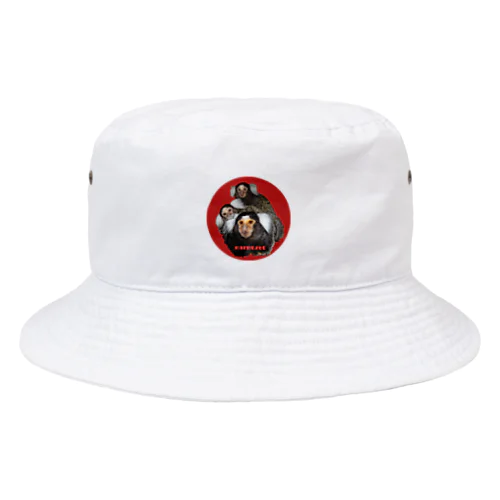 マーモセット親子3  バケットハット Bucket Hat