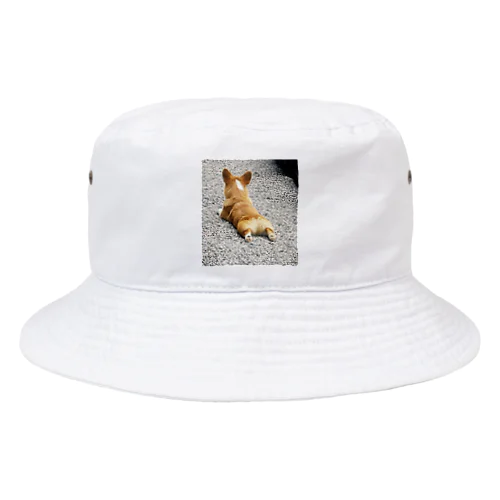 のびのびコギ太郎 Bucket Hat