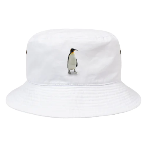 キングペンギン Bucket Hat