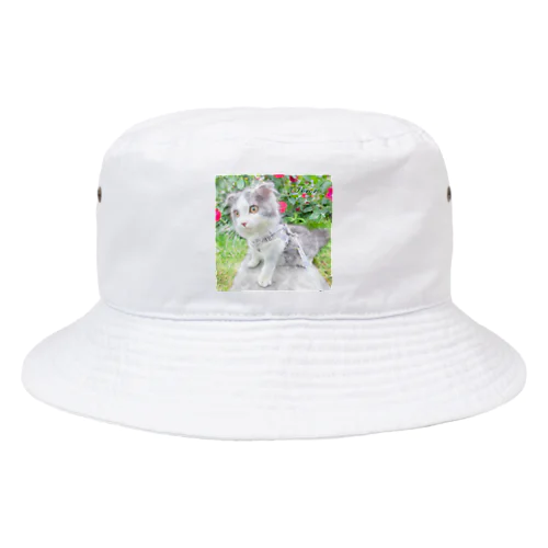 scottishfold_tororo Bucket Hat