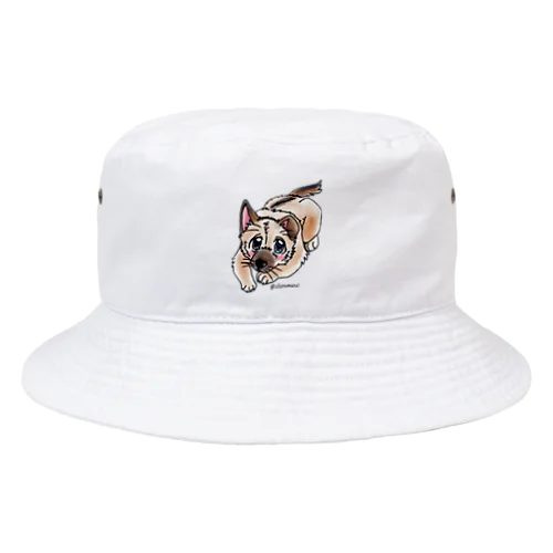 泥棒フェイスの子犬 Bucket Hat