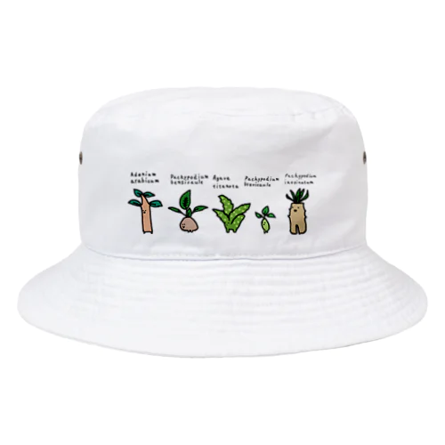 かわいい実生たち Bucket Hat