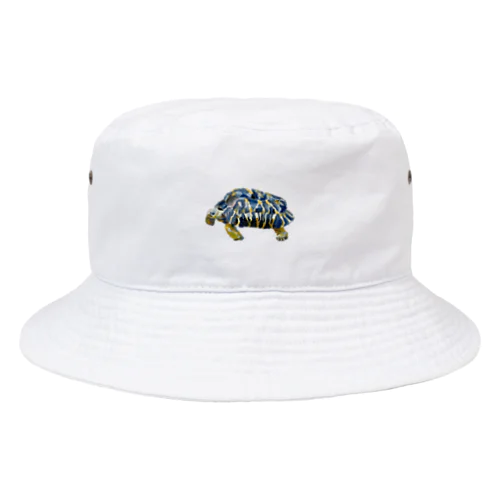 ホウシャガメ Bucket Hat