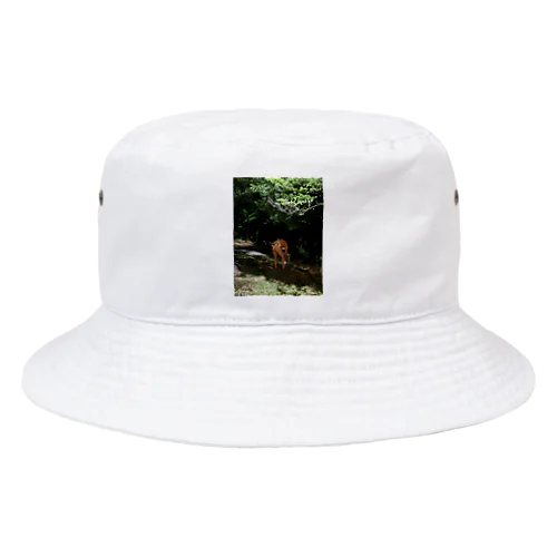 シンプル　Mt. Dragonbody Bucket Hat