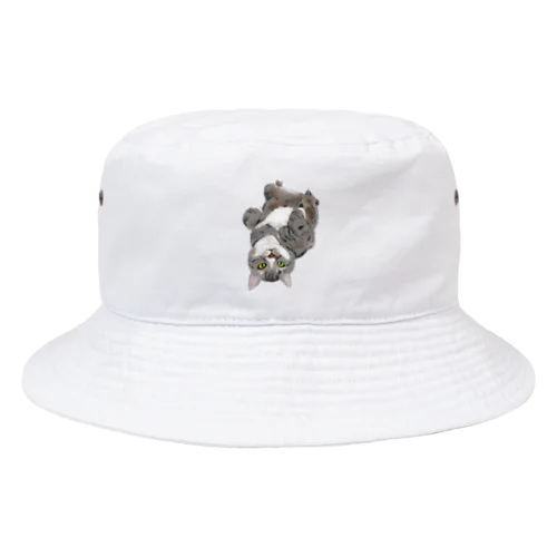 タイガーくん Bucket Hat