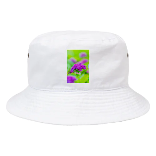 あじさい04 Bucket Hat