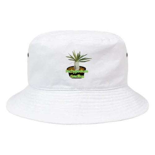 Pachypodium Gracilius Bucket Hat