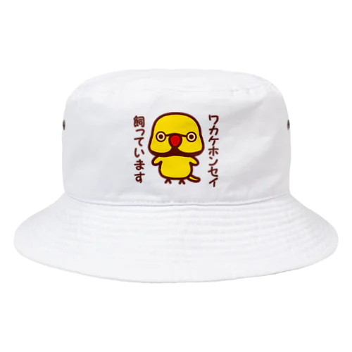 ワカケホンセイインコ飼っています（イエロー♂） Bucket Hat