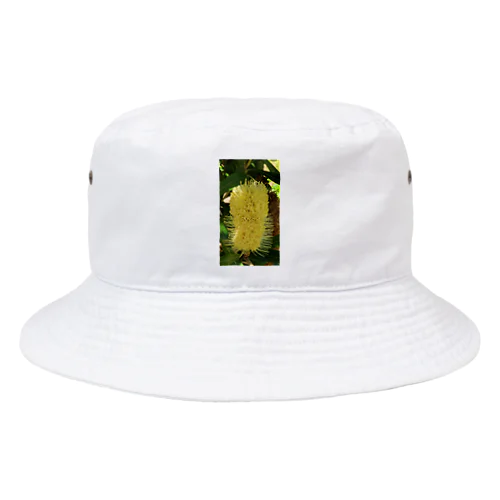 リョク君 Bucket Hat