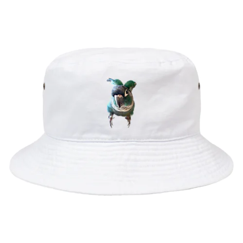 ウロコインコの翠ver.MAJIで羽ばたく5秒前 Bucket Hat