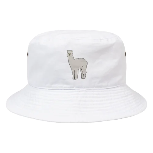 Alpaca Bucket Hat