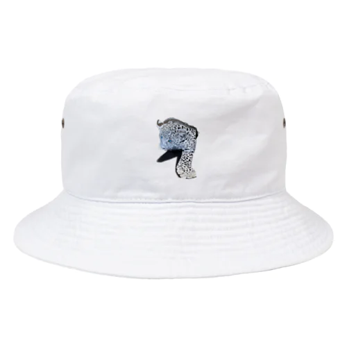 チーター Bucket Hat