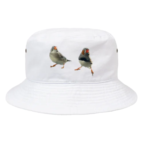 きんかちょう Bucket Hat